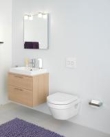 Унитаз подвесной Gustavsberg Hygienic Flush WWC, безободковый с сидением soft-closing, 5G84HR01 Унитаз подвесной Gustavsberg Hygienic Flush WWC, безободковый с сидением soft-closing, 5G84HR01
