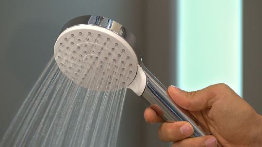 Душевая лейка Hansgrohe Crometta 1jet 26331400